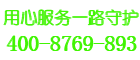 thermex壁挂炉